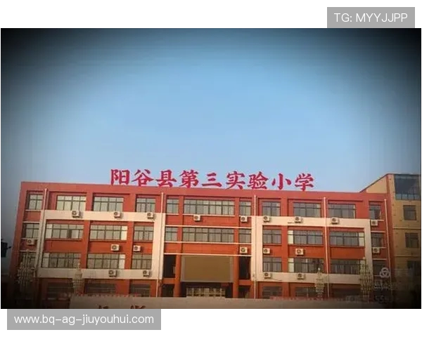 三城县足球运动员的成长历程与未来发展展望分析